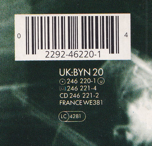 The Jesus And Mary Chain - Automatic