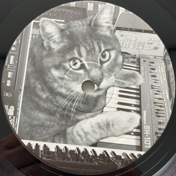 Faceless Mind - Data Cat