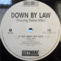 Down By Law Featuring Debbie Miller - If You Want My Love
