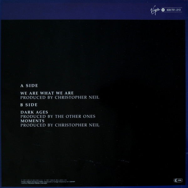 The Other Ones - We Are What We Are