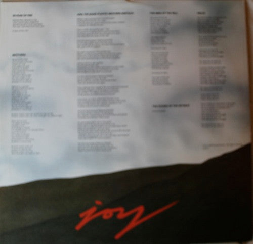 Skids - Joy