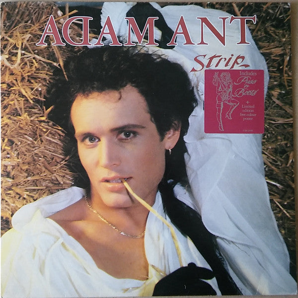 Adam Ant - Strip