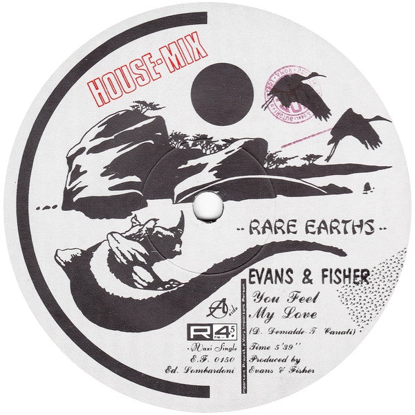 Evans & Fisher - You Feel My Love (House Mix)