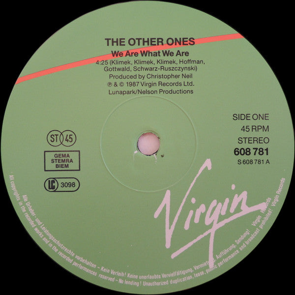 The Other Ones - We Are What We Are