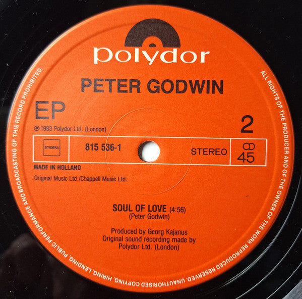 Peter Godwin - Baby's In The Mountains (New York Remix)