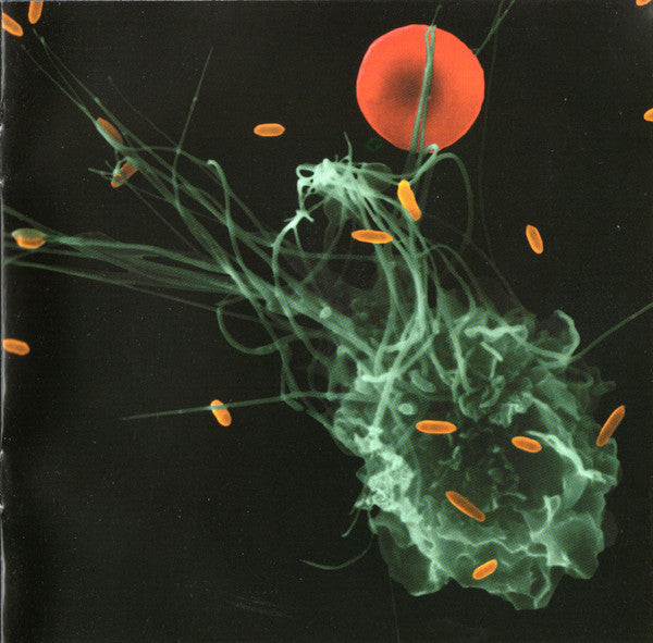 Peter Gabriel - OVO
