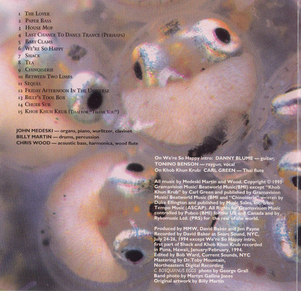Medeski Martin & Wood - Friday Afternoon In The Universe
