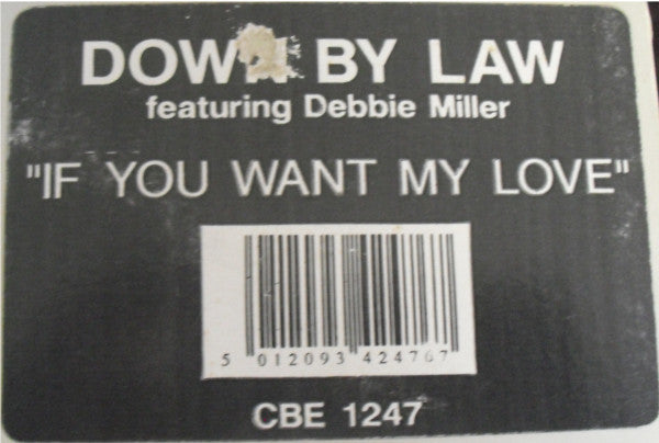 Down By Law Featuring Debbie Miller - If You Want My Love