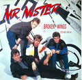 Mr. Mister - Broken Wings (Extended Version)