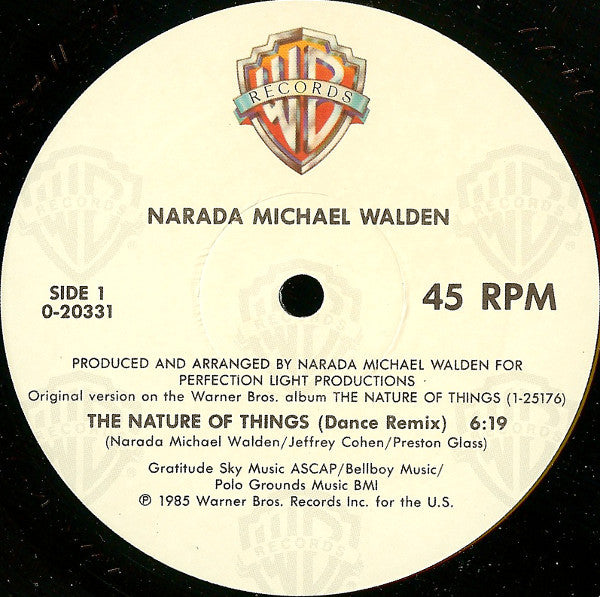 Narada Michael Walden - The Nature Of Things