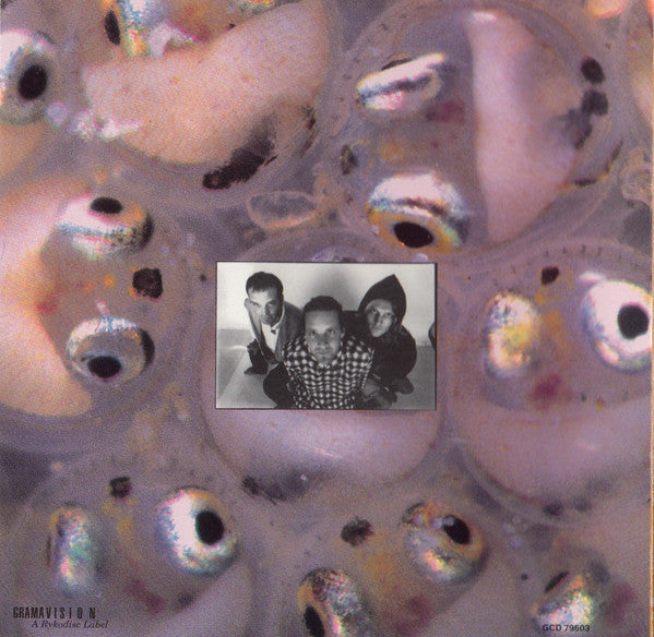 Medeski Martin & Wood - Friday Afternoon In The Universe