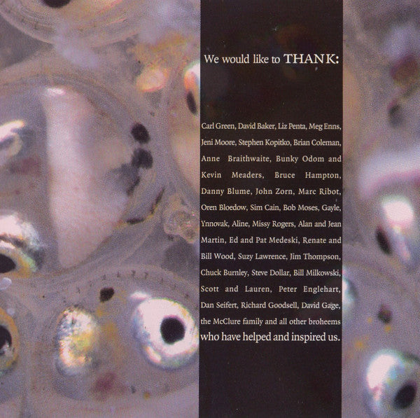 Medeski Martin & Wood - Friday Afternoon In The Universe
