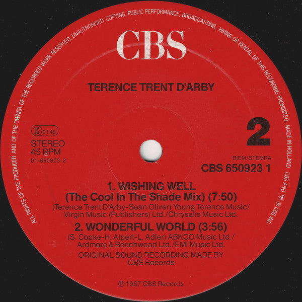 Terence Trent D'Arby - Wishing Well
