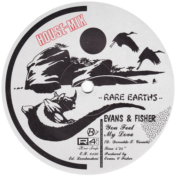 Evans & Fisher - You Feel My Love (House Mix)