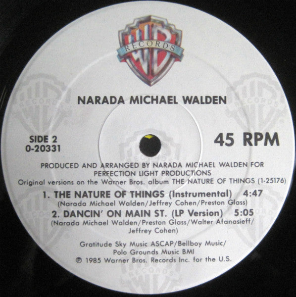 Narada Michael Walden - The Nature Of Things