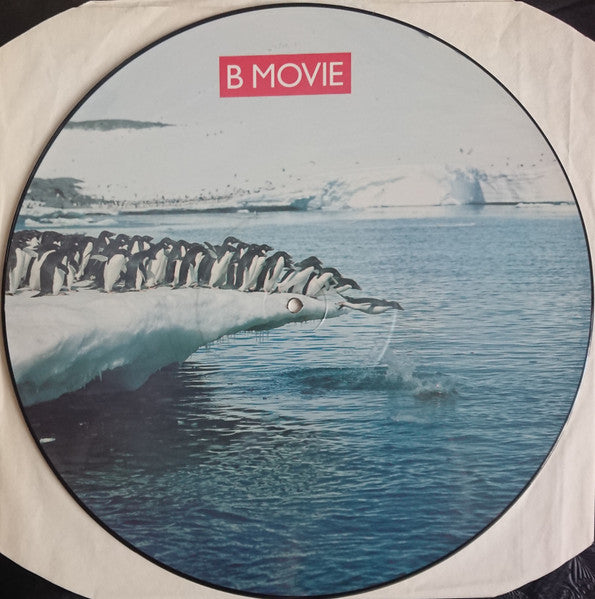 B-Movie - Polar Opposites