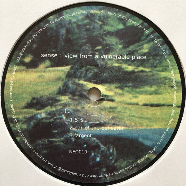Sense - A View From A Vulnerable Place