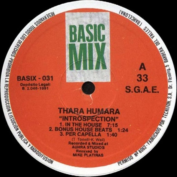Mike Platinas Presents Thara Humara - Introspection (Special D.J. Remixes)