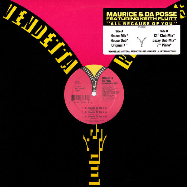 Maurice Joshua & Da Posse - All Because Of You