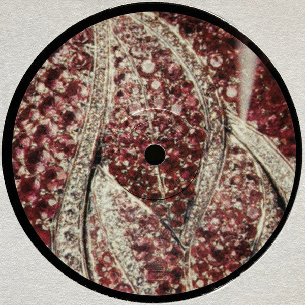 Various - Pop Ambient 2005