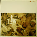 Processory - Processory