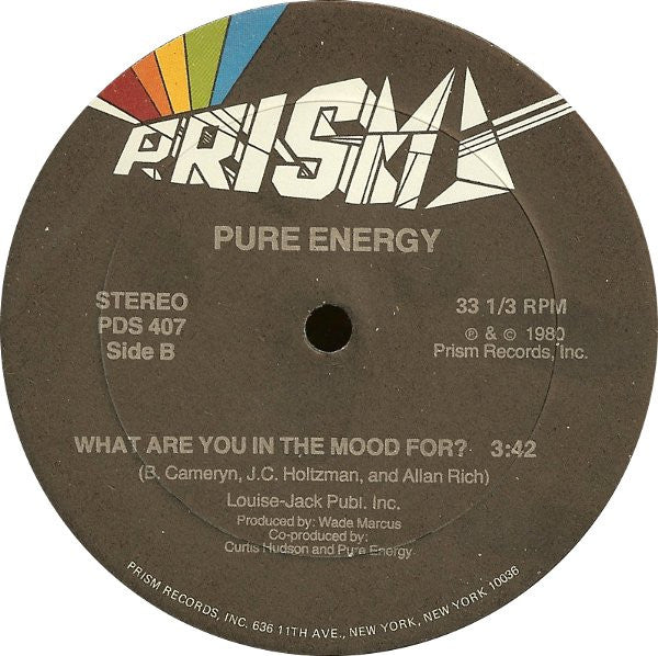 Pure Energy - When You're Dancin' / What Are You In The Mood For?