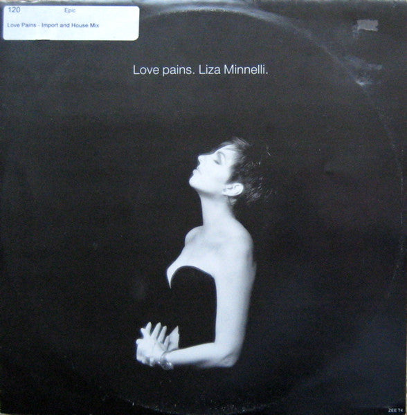 Liza Minnelli - Love Pains
