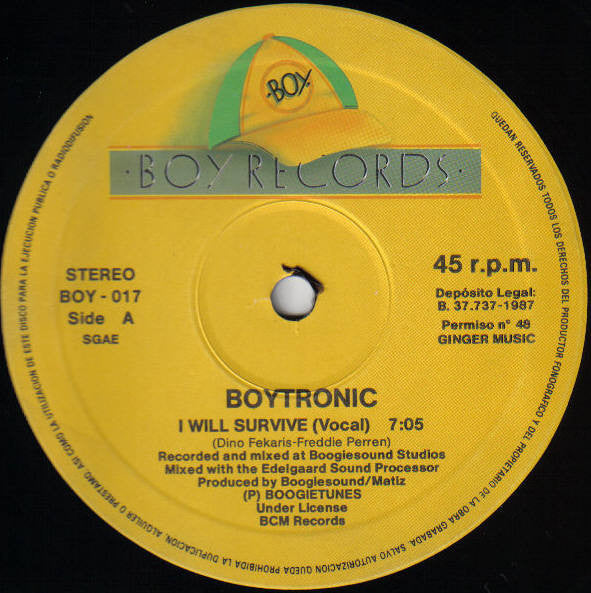 Boytronic - I Will Survive