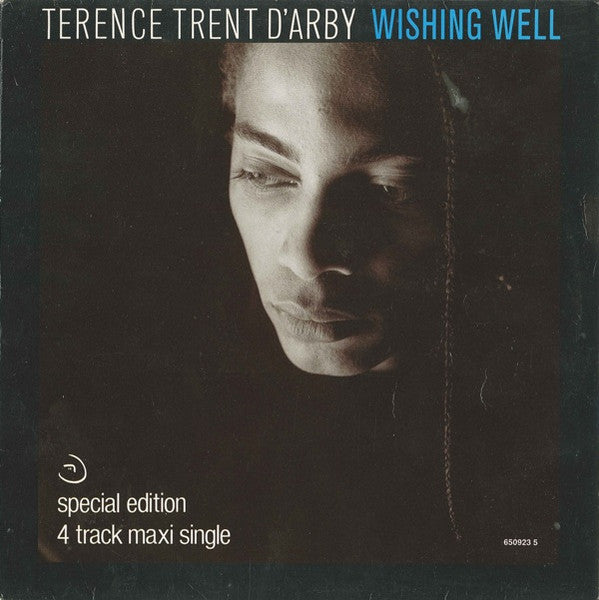 Terence Trent D'Arby - Wishing Well