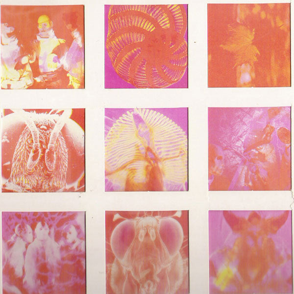 Startled Insects - Curse Of The Pheromones