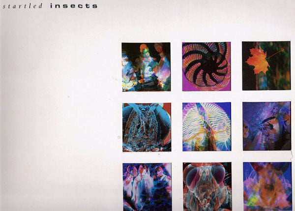 Startled Insects - Curse Of The Pheromones