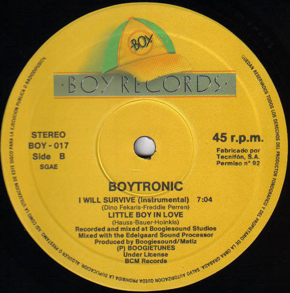 Boytronic - I Will Survive