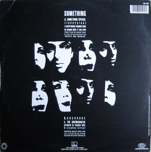 Stephen Duffy And Sandii - Something Special