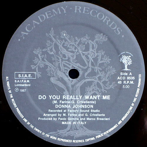 Donna Johnson - Do You Really Want Me