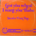 Stereo Fun Inc. - Got You Where I Want You Babe
