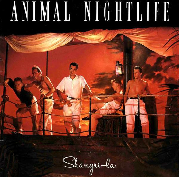 Animal Nightlife - Shangri-La