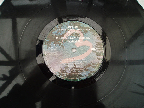 Daryl Hall - I Wasn't Born Yesterday