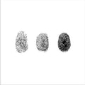 MarginalS - MarginalS