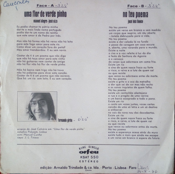 Fernando Girão - Uma Flor De Verde Pinho