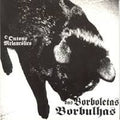 Borboletas Borbulhas - O Outono Melancólico Das Borboletas Borbulhas