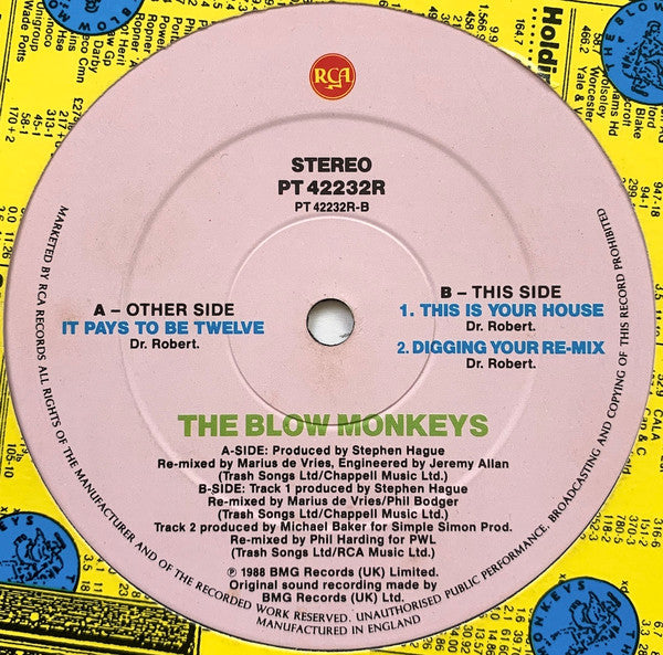 The Blow Monkeys - It Pays To Be Twelve