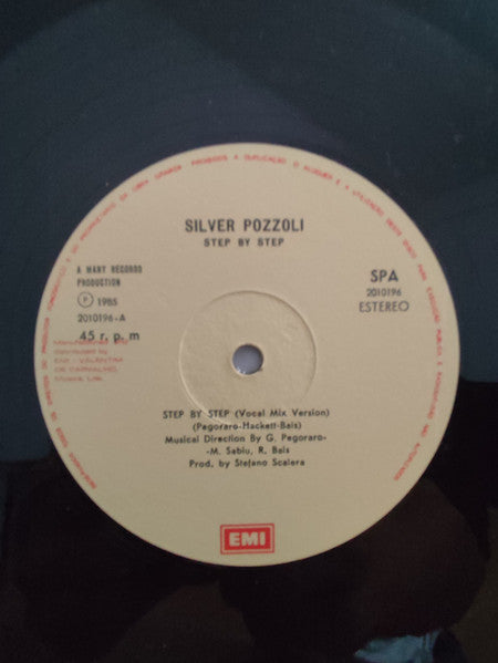 Silvio Pozzoli - Step By Step (Vocal Mix Version)