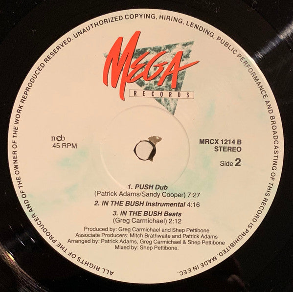 Clair Hicks And Love Exchange - Push (In The Bush)