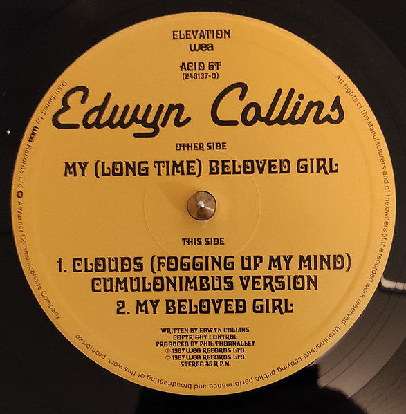 Edwyn Collins - My Beloved Girl