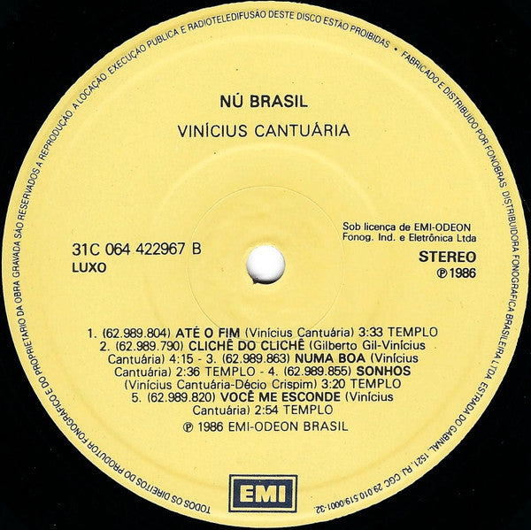 Vinicius Cantuária - Nu Brasil