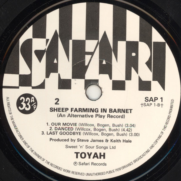 Toyah (3) - Sheep Farming In Barnet