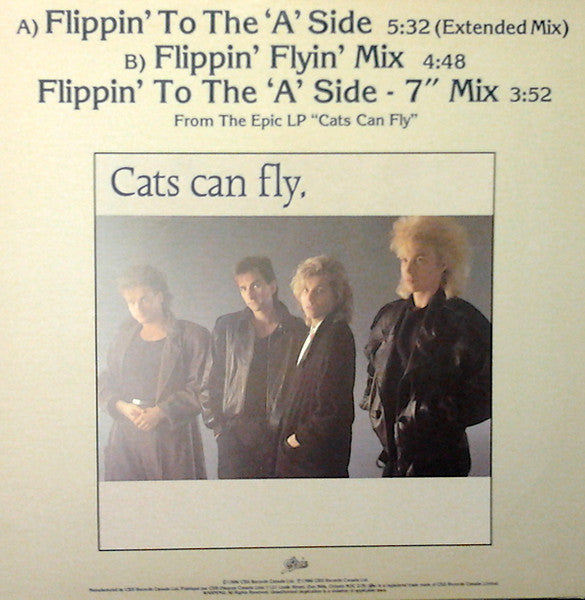 Cats Can Fly - Flippin' To The 'A' Side
