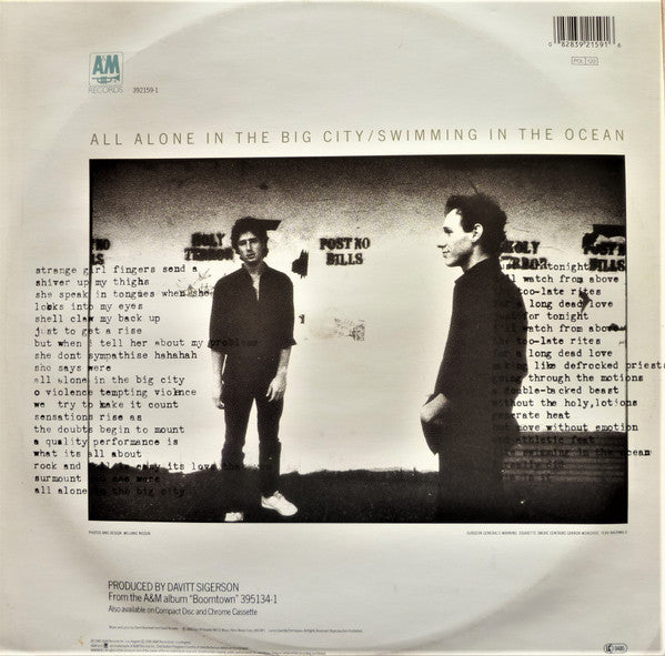 David + David - Swallowed By The Cracks