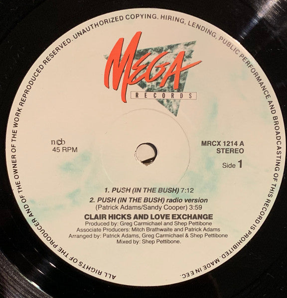 Clair Hicks And Love Exchange - Push (In The Bush)