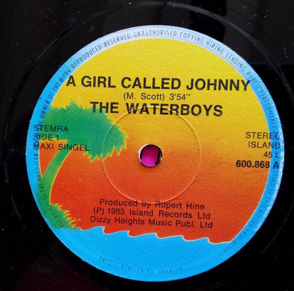 The Waterboys - A Girl Called Johnny